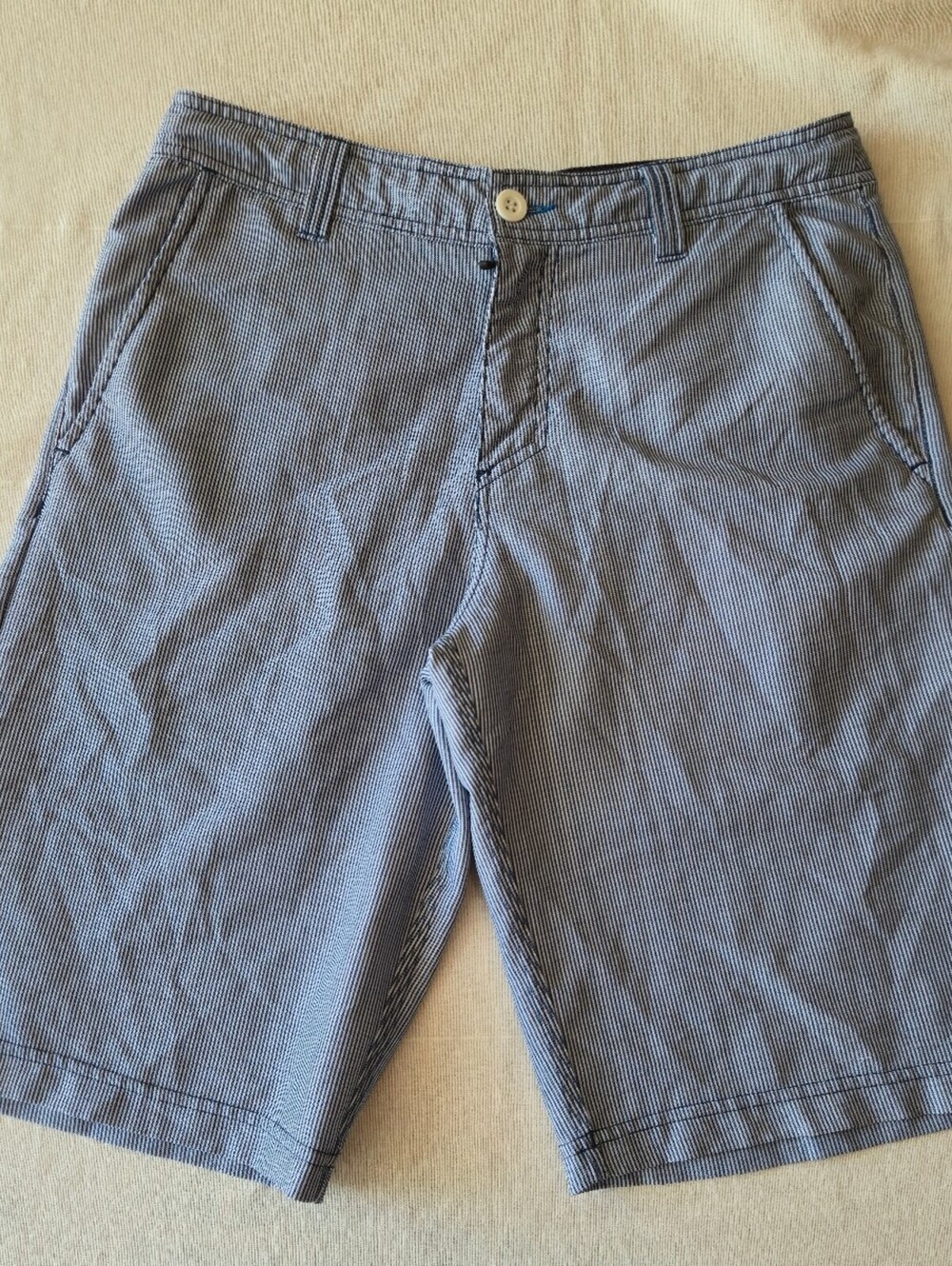 O'Neill Blue Striped Casual Shorts Size 29